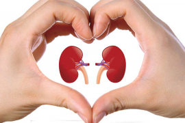 Svjetski dan bubrega: U BiH tek 20 transplantacija godišnje