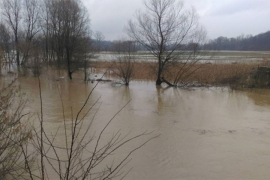 Vodostaj Save u porastu, Spreča se izlila