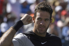 Sjajni Del Potro zaustavio Federera, spasio tri meč lopte i osvojio ...