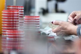 Otkriven protein koji može da uspori razvoj raka jetre