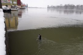 Sava u blagom porastu na području Srpca