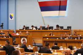 Bajić: Banke uzimaju proviziju na sredstva za liječenje djece u ...