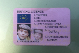Zaustavila ga policija, a on im dao vozačku Delboyja