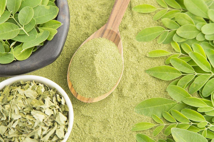 Moringa: 'Zeleno zlato' bogato hranljivim materijama