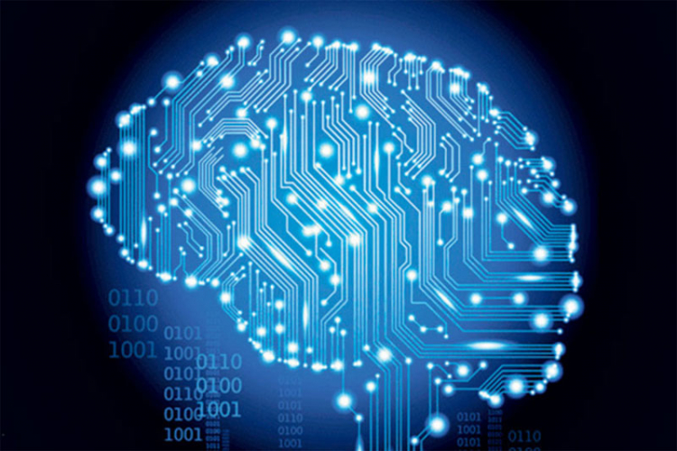 Mozak poslije 13. godine više ne proizvodi neurone za pamćenje