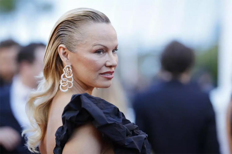 Pamela Anderson na meti FBI?