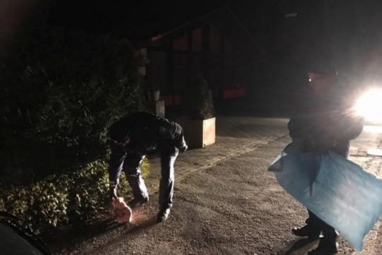 Na ulazu u džamiju ostavljena svinjska glava