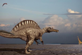 Pronađeni tragovi dinosaurusa stari 170 miliona godina