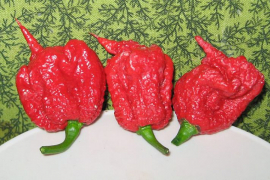 Ljuta paprika izazvala neurološke probleme
