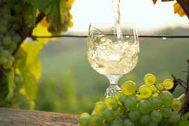 Deset čaša vina sedmično skraćuje život za dvije godine