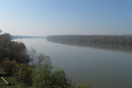 Utopio se migrant u Savi