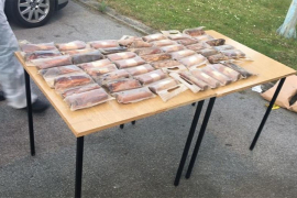 U autu kod Nove Gradiške pronašli 75 paketa eksploziva