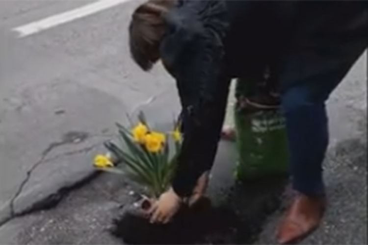 Holanđanin "krpi" puteve sadeći cvijeće