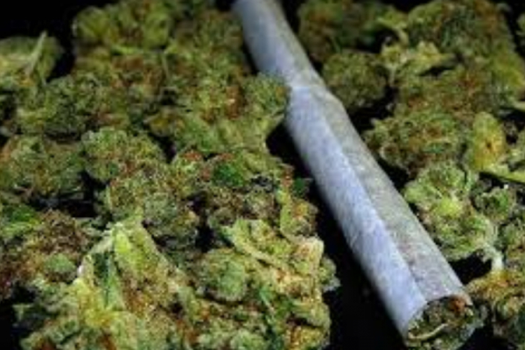Kod troje Prijedorčana pronađena marihuana