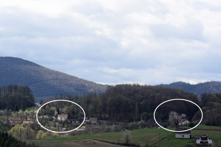 Sjekirom napao komšiju prezimenjaka zbog svinja