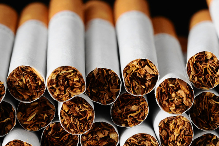 Na području Trebinja sve više migranata i šverca cigareta
