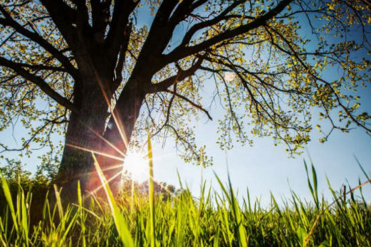 I danas sunčano, temperature do 29 stepeni