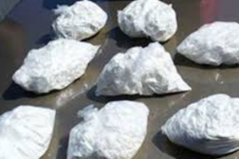 Albanski biznismen uhapšen zbog šverca 613 kg kokaina