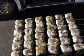 MUP Srbije zaplijenio 43 kilograma marihuane, troje uhapšeno