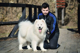 Ženka samojeda šampionka BiH