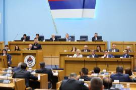 Formiran Anketni odbor u vezi sa slučajem stradanja Davida ...