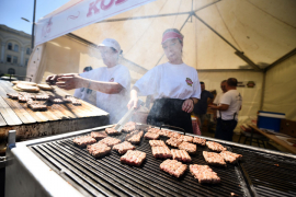 Drugi "Ćevap fest" okupio devet roštiljnica