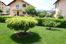 Počela akcija "Biramo najuređenije"