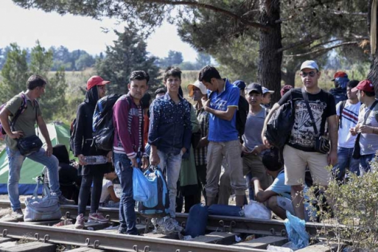 Cucić: Najveći broj migranata ušao u BiH