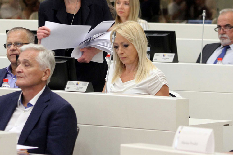 Pandurević. Bolje bilo kakve izmjene zakona o OBA nego da nema zakonskog rješenja