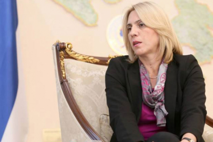 Cvijanović: Na teritoriji RS nema mogućnosti za smještaj migranata