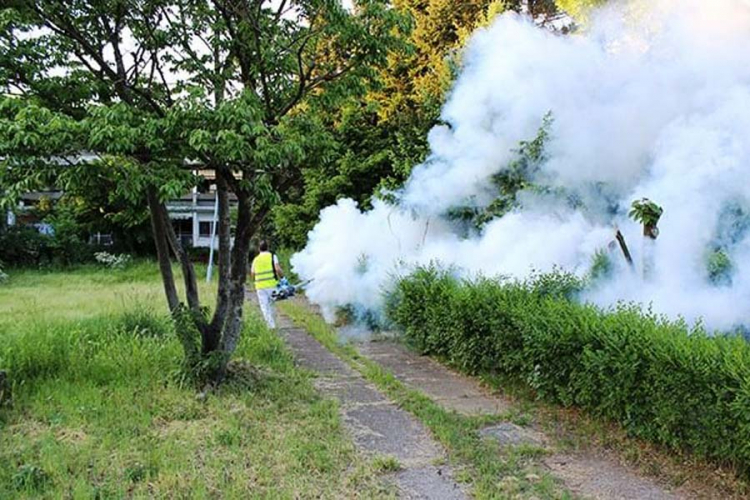 Počinje zaprašivanje komaraca u Bijeljini