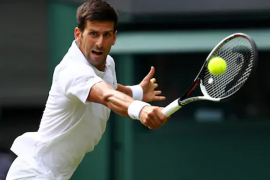 Rolan Garos, Đoković protiv Verdasko