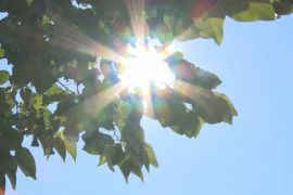 Danas sunčano, temperature do 32 stepena