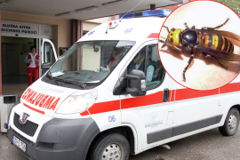 Banjalučanin preminuo od uboda stršljena
