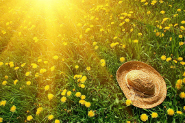 Sunčano i toplije, temperatura do 34