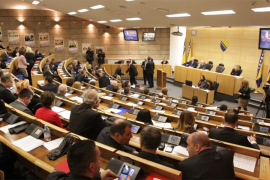 U FBiH donesen Zakon o liječenju neplodnosti