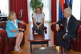 Čubrilović: Narodna skupština nesmetano obavlja ustavnu nadležnost