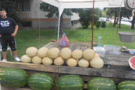 Zahlađenje zaustavilo prodaju lubenica