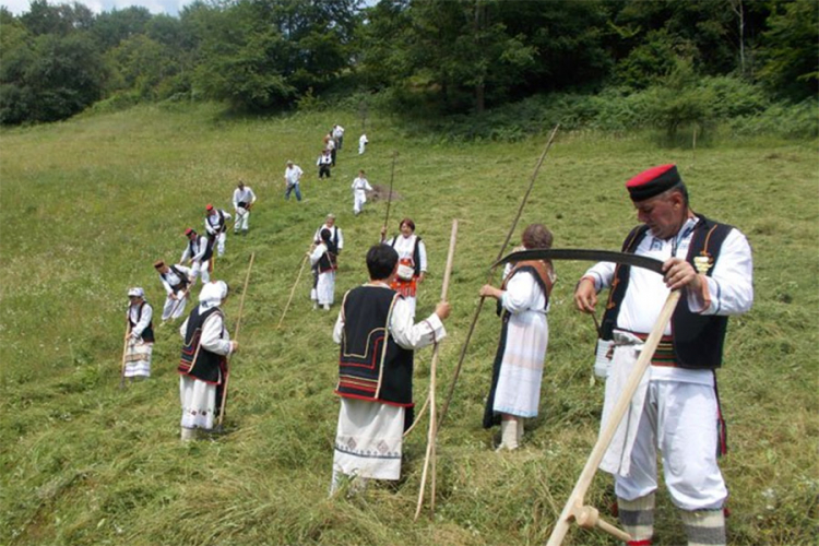 Održana "Čelinačka kosidba"
