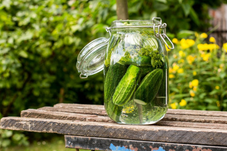 Recept iz djetinjstva: Ljetni kiseli krastavci