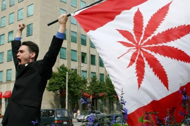 Kanada korak bliže legalizaciji marihuane