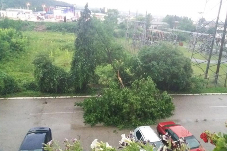 Olujno nevrijeme u Doboju, vjetar obarao stabla