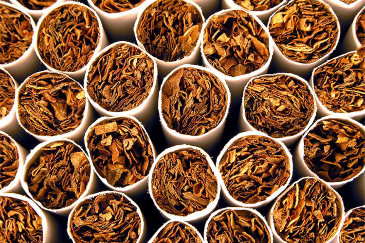 Privremeno oduzeto 980 paklica cigareta