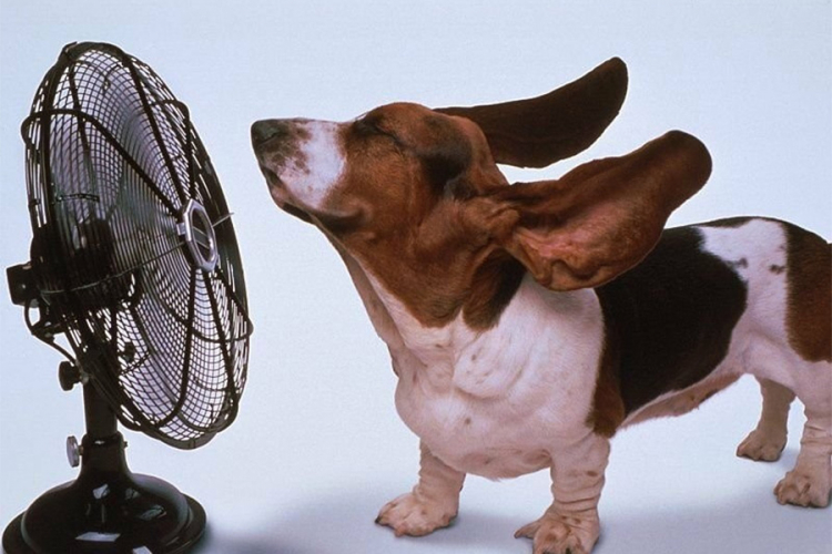 Ovako postavljen ventilator radi bolje od svake klime