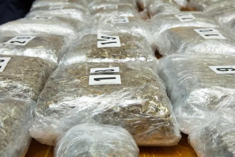 Zaplijenjeno oko 30 kilograma marihuane