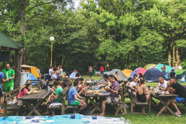 Sutra počinje peti Nektar OK Fest
