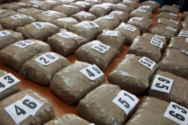 Zaplijenjeno 50 kilograma marihuane