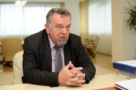 Trninić: Jedino Pelješac može ugroziti most na Savi