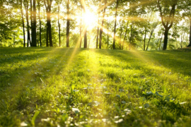 Danas toplo, temperatura do 34 stepena