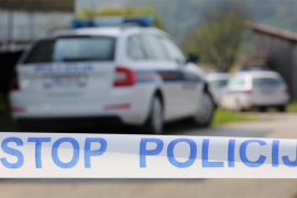 Državljanin BiH u kombi kod Siska nagurao 37 migranata